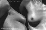 previous: sisters-in-body-923