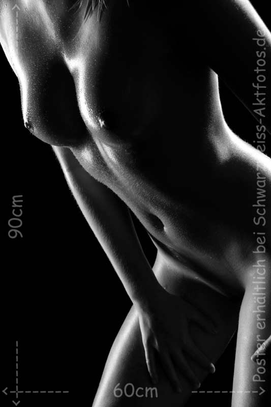 L`art de Lucien Bechamps |poster/normaler_busen/ | beautiful_body-h | www.figuremodel.de
