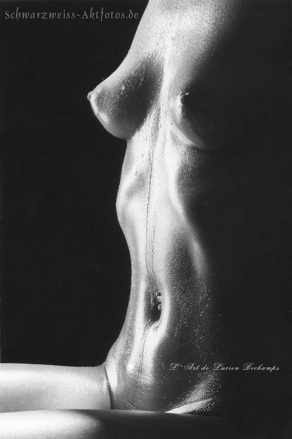 L`art de Lucien Bechamps | 201601 Wittney-Scans | cone-tits-and-abs-736 | figuremodel.de