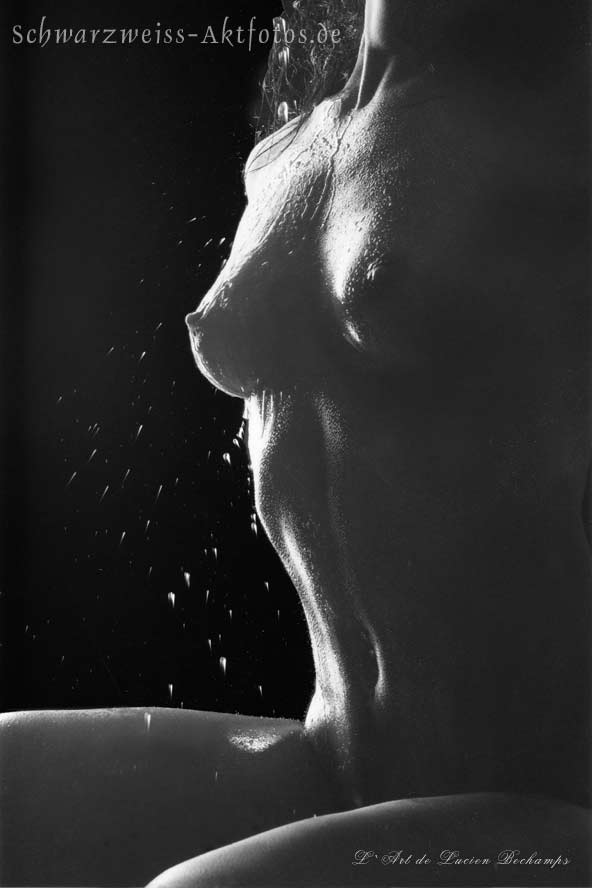 L`art de Lucien Bechamps | 201601 Wittney-Scans | watered-cone-tits-819 | figuremodel.de
