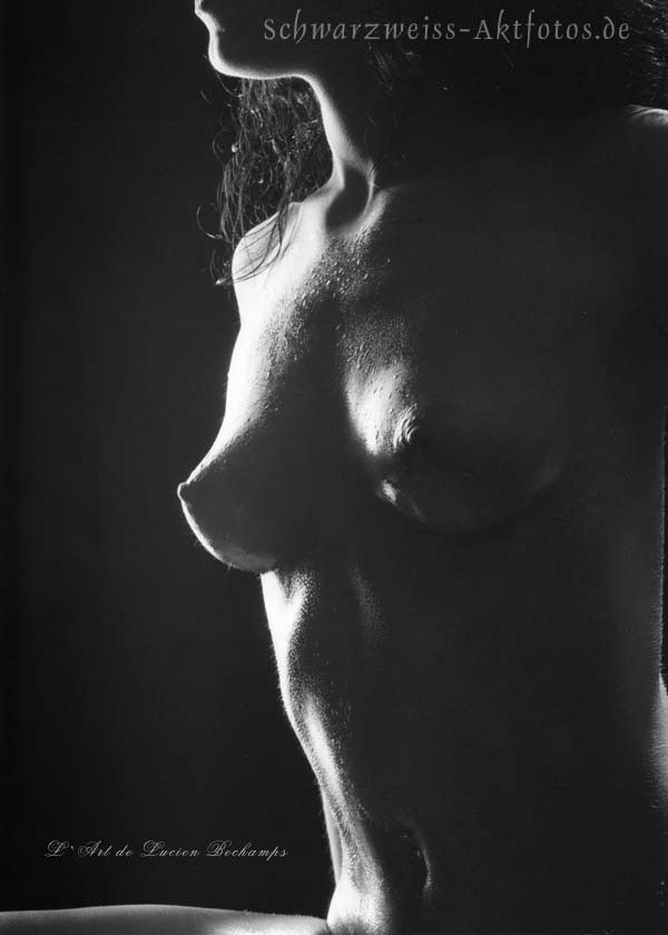 L`art de Lucien Bechamps | 201601 Wittney-Scans | wet-cone-tits-815 | figuremodel.de