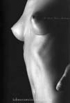voir small-cone-breasts-829