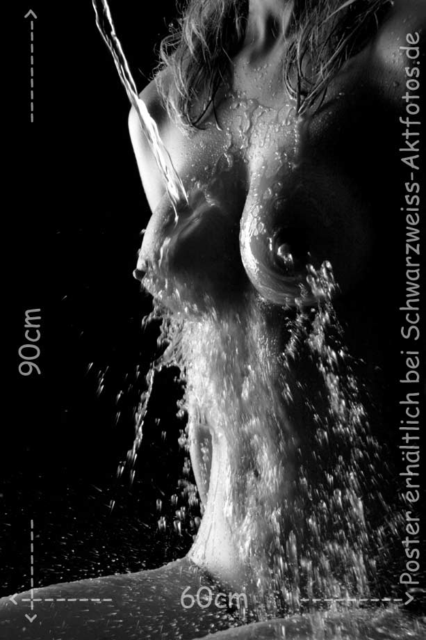 L`art de Lucien Bechamps | Normaler Busen | Busty-Splash-95 | figuremodel.de