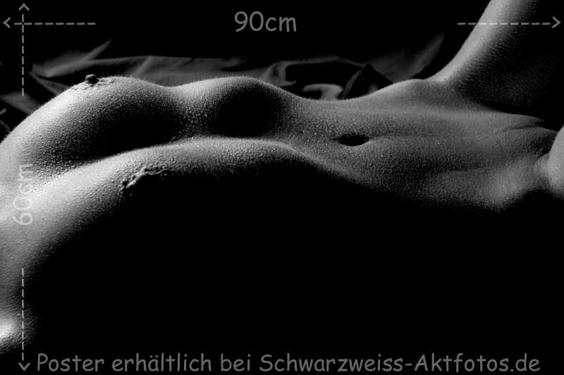 L`art de Lucien Bechamps | Schlanker Bauch | LB_32330 | figuremodel.de